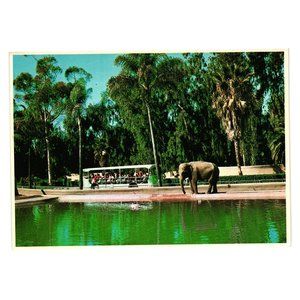 Vintage Postcard San Diego Zoo Elephant Bus Tram Animals Botanical Park CS-9441